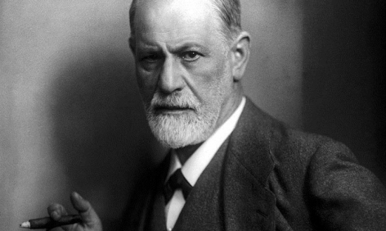 Obrázek k akci Thomas Ballhausen: Sigmund Freud potkává Sherlocka Holmese. Fakta a fikce kolem kokainové aféry 