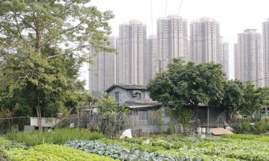 Hands-On Urbanism 1850–2012, Farma Ma Po Po, vesnice / Dorf Ma Shi Po, Honkgong. Foto: Shu-Mei Huang