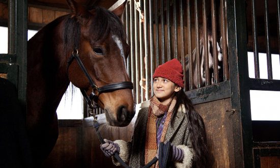 Das Pferd auf dem Balkon, © Mini Film/ Delia Wöhlert