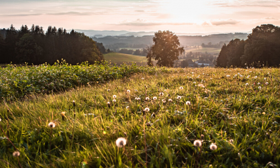 © Österreich Werbung/Touristenverband Hausruckwald/Philipp Freund