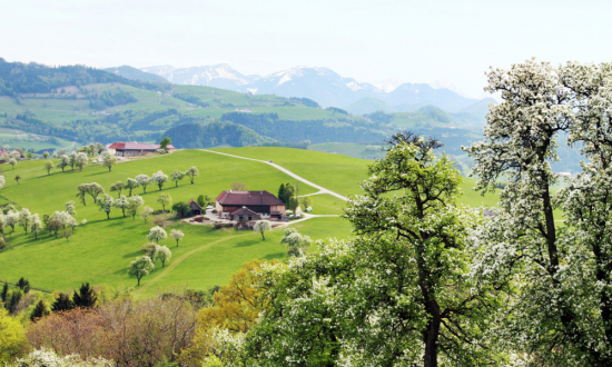 © Österreich Werbung, weinfranz.at/ Franz Weingartner