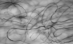 (c) Privatarchiv Jasmin Schaitl (c) Privatarchiv Jasmin Schaitl