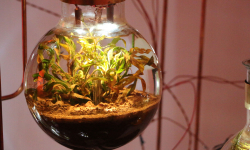 (c) Time´s up (c) Time´s up